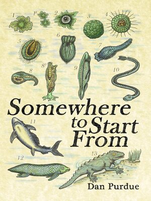 cover image of Somewhere to Start From